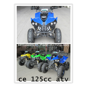 2014 Neu 125cc ATV (kawasaki design) (et-ATV048)